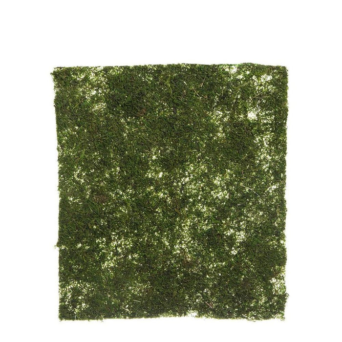 Moss Mat 45cm x 40cm Pack of 12