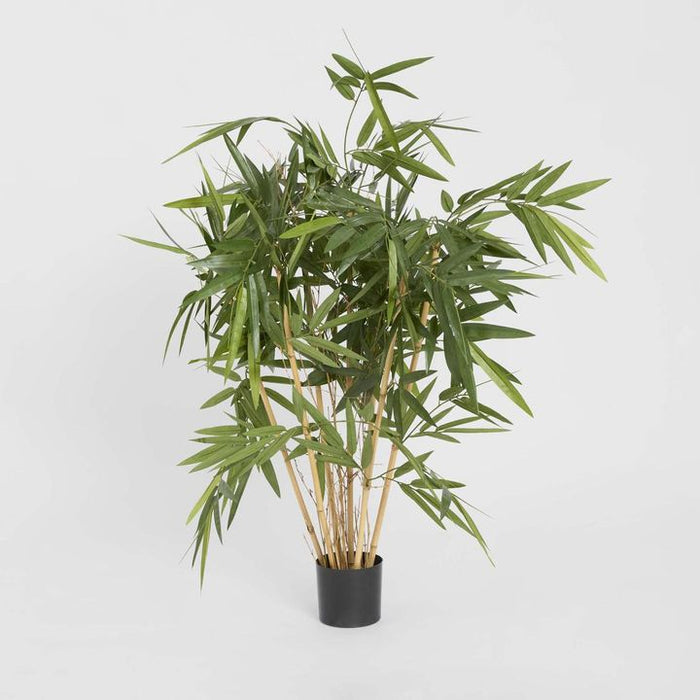 New Bamboo Tree 100cm