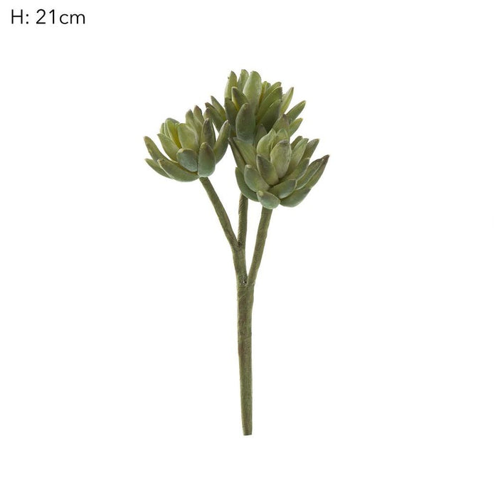 Agave Stem Green 20cm Pack of 12