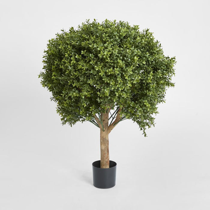 Boxwood Ball Topiary Tree 85cm