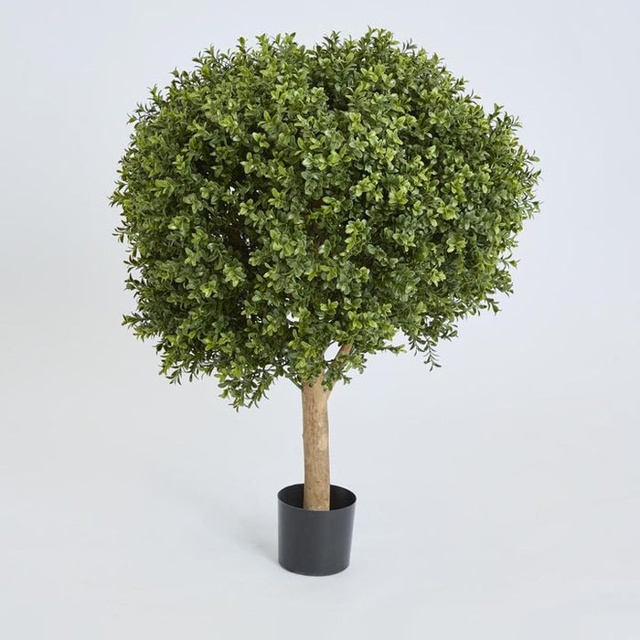 Boxwood Ball Topiary Tree 85cm