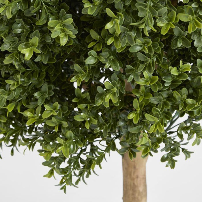 Boxwood Ball Topiary Tree 85cm