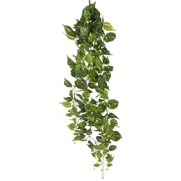 Pothos Hanging Bush 8 Branches 130cm Set of 12
