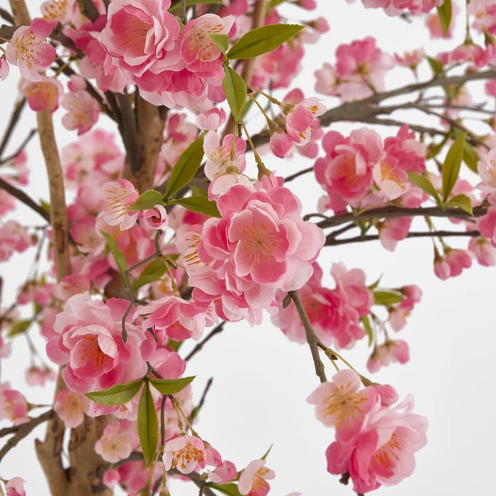 Cherry Blossoms Tree 150cm