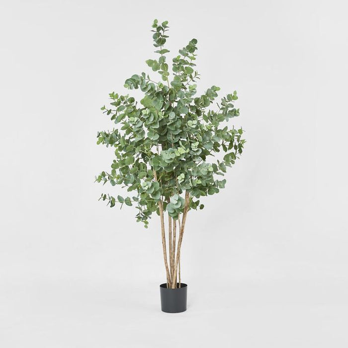 Eucalyptus Tree Green 150cm