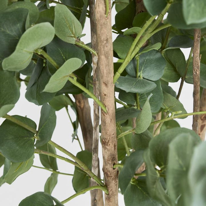 Eucalyptus Tree Green 150cm