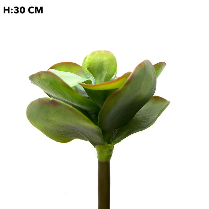 Flapjack Succulent Green 30cm Pack of 8