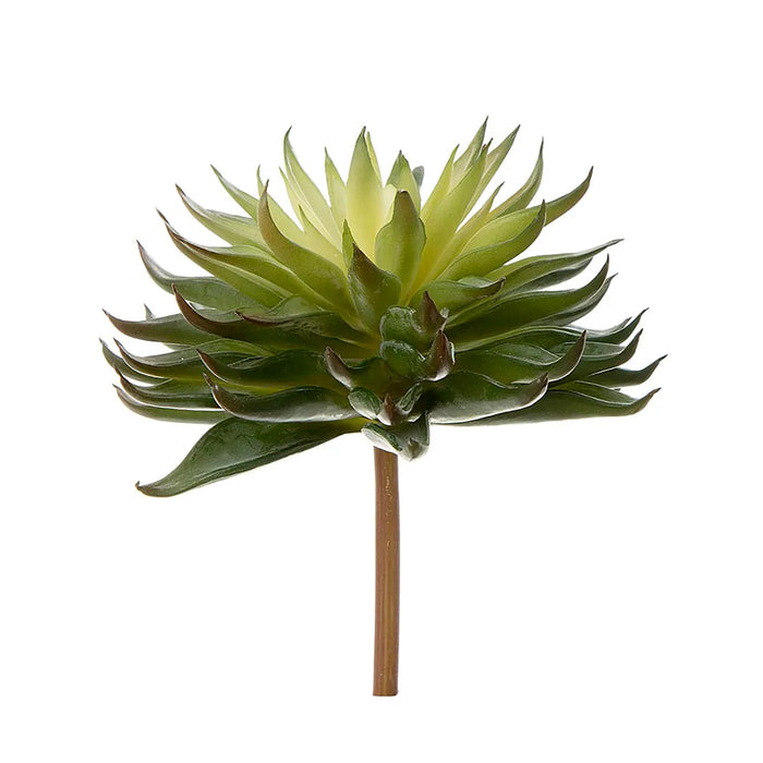 Succulent Spray Green 17cm Pack of 12