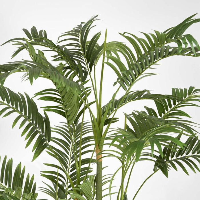 Areca Palm Tree Multi Trunk 150cm