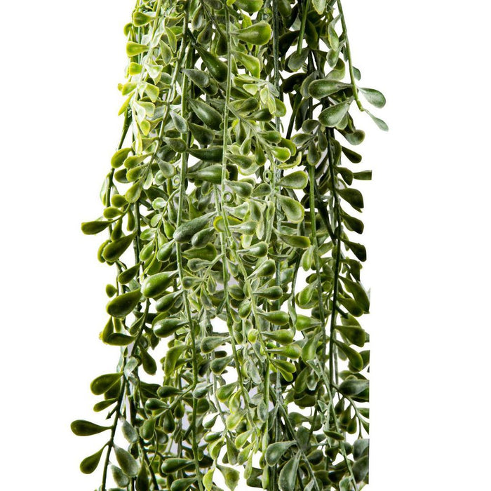 Wild Vetch Bush Hanging 160cm Pack of 12