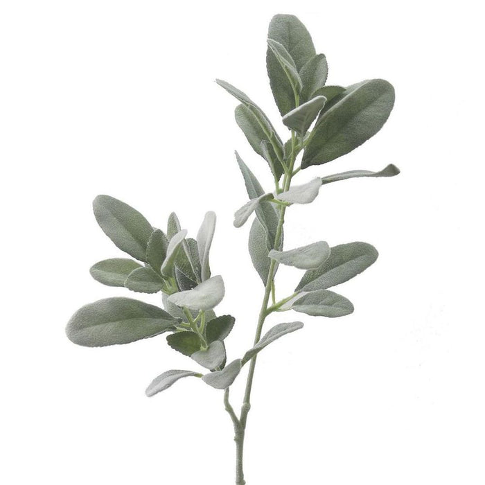 Flocked Lamb's Ear Spray 70cm Green Pack of 12