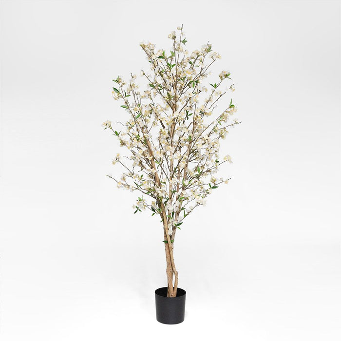 Cherry Blossom Tree 180cm