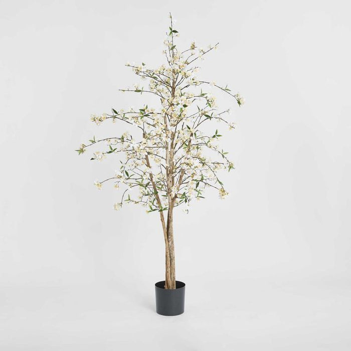 Cherry Blossom Tree 180cm