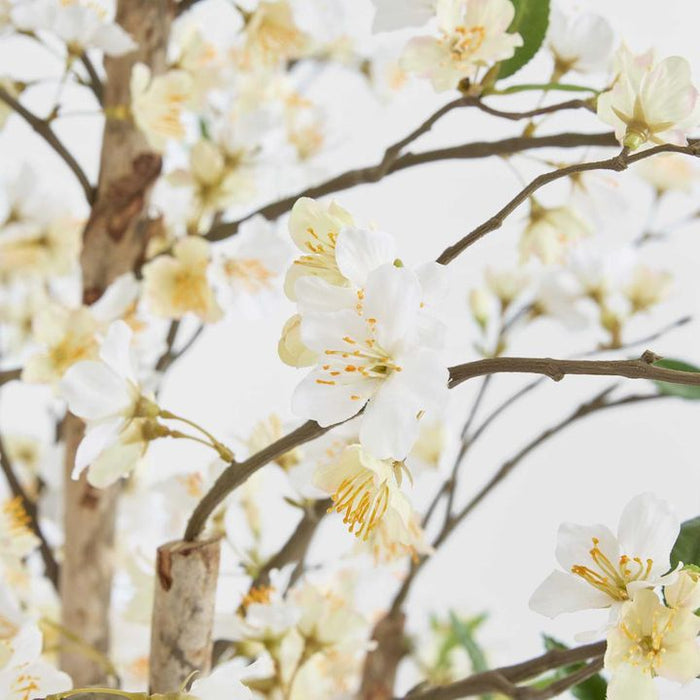 Cherry Blossom Tree 180cm