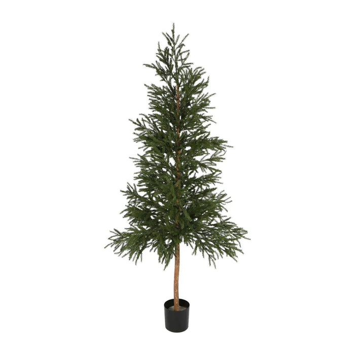 Picea Christmas Tree With 2035 Leaves 180cm