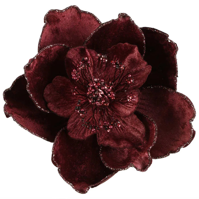 Plume Velvet Clip on Magnolia Burgundy 18cm Pack of 6