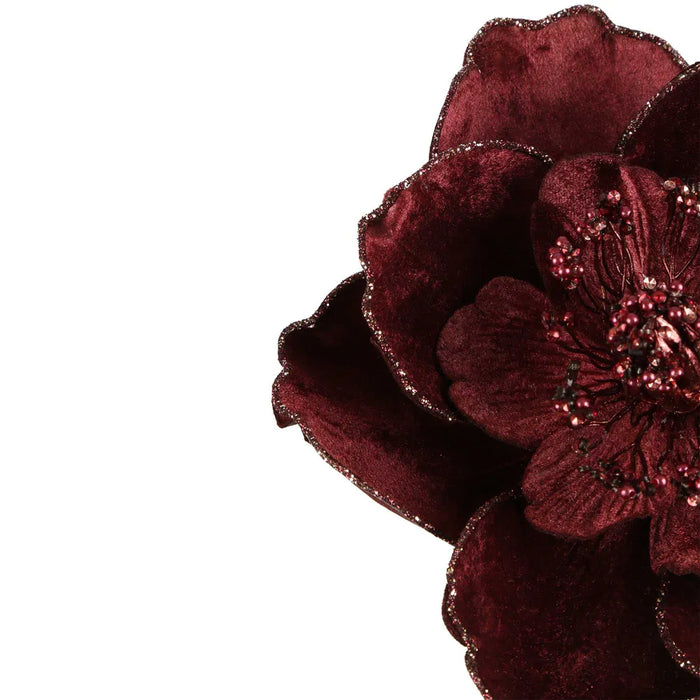 Plume Velvet Clip on Magnolia Burgundy 18cm Pack of 6