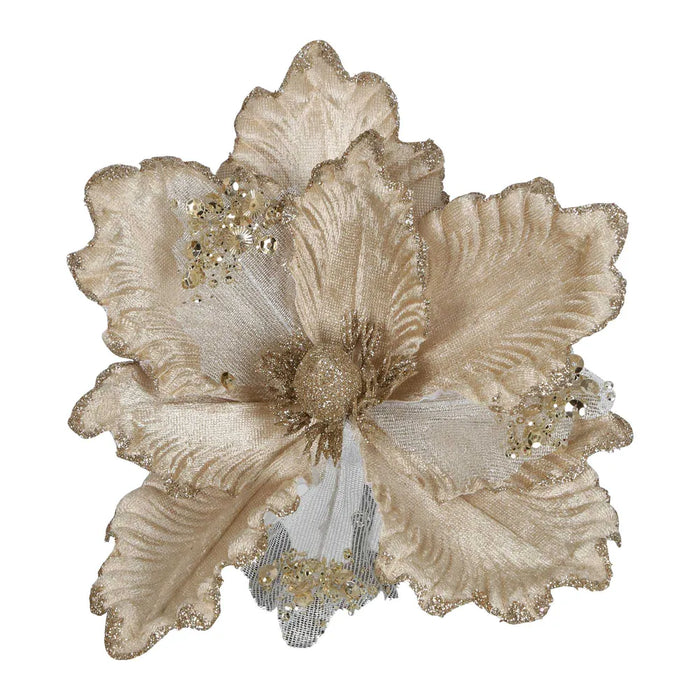 Esta Clip On Flower Champagne 23cm Pack of 12