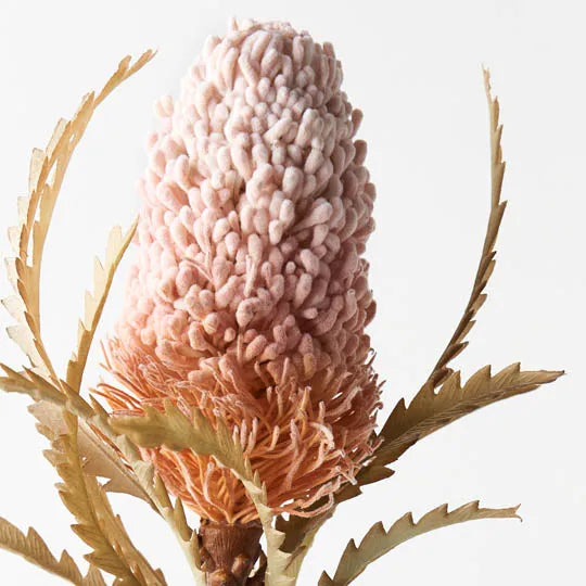 Banksia Acorn Light Pink 72cm - Pack of 12