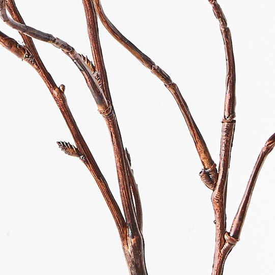 Twig Curly Willow Spray 100cm Pack of 24