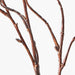 Twig Curly Willow Spray 100cm Pack of 24