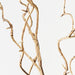 Sand Twig Curly Willow Spray 100cm Pack of 24