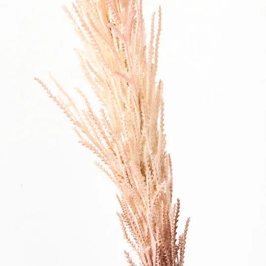 Plume Grass Seed Spray Pink 101cm - Pack of 12