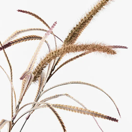 Wolf Tail Grass Spray Olive Green 89cm - Pack of 12