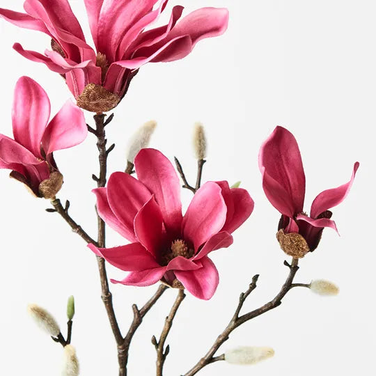 Magnolia Japanese Spray Fuschia 55cm - Pack of 12