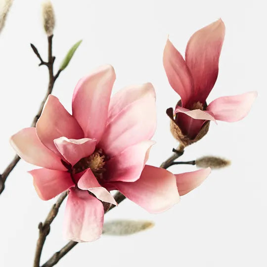 Magnolia Japanese Spray Pink 55cm - Pack of 12