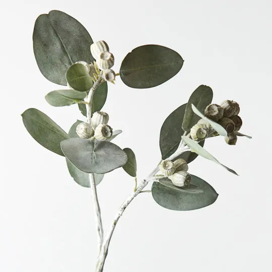 Eucalyptus Tetragona Spray Grey Green 61cm - Pack of 12