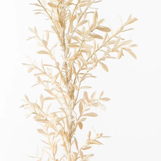 Willow Leaf Spray Ivory 70cm - Pack of 12