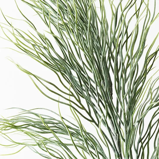 Coral Grass Spray Grey Green 77cm - Pack of 12