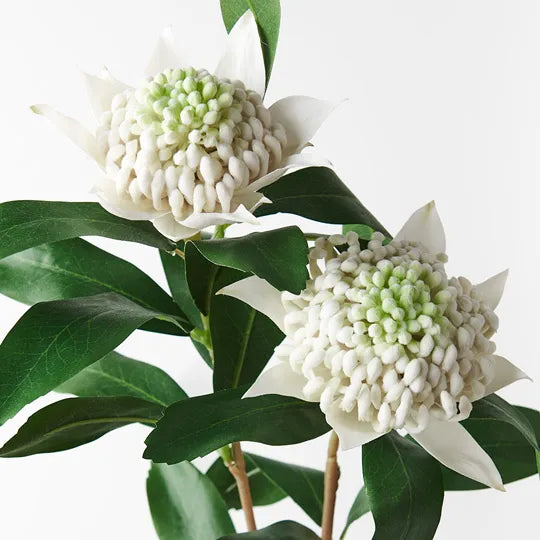 Waratah Spray White 86cm Pack of 6