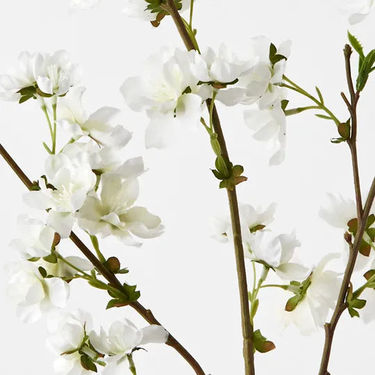 Blossom Cherry White 99cm Set of 12