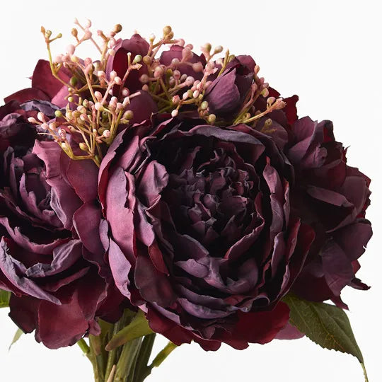 Peony Mix Bouquet Burgundy 28cm Pack of 6