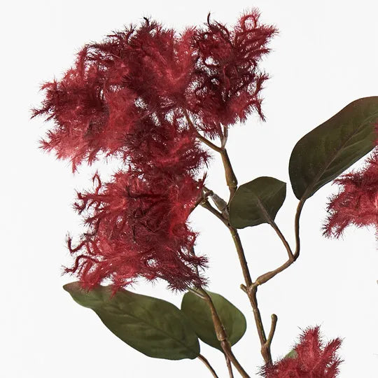 Smoke Bush Spray Red 74cm Pack of 12