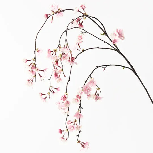Blossom Cherry Hanging Light Pink 120cm - Pack of 12