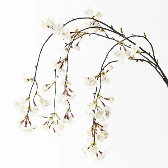 Blossom Cherry Hanging White 120cm - Pack of 12