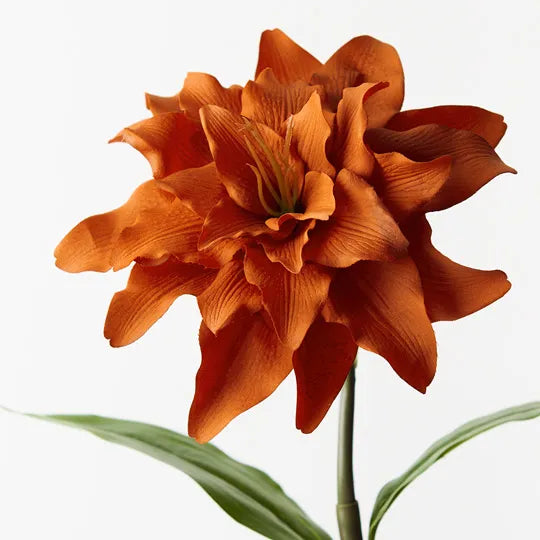 Roselily Rust Orange 62cm Pack of 12