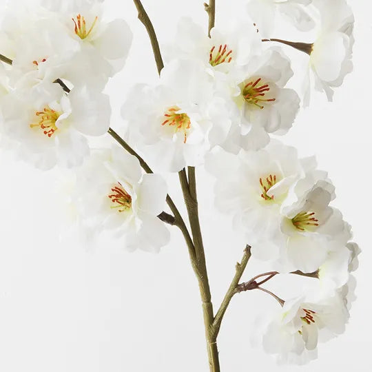 Blossom Apple White 99cm Pack of 12