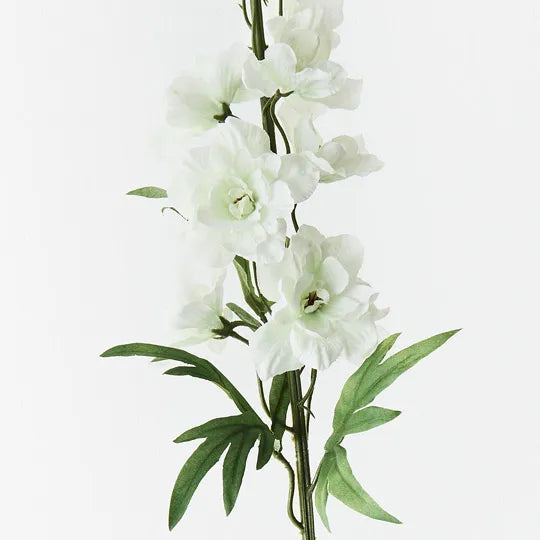 Delphinium White Green 90cm - Pack of 12