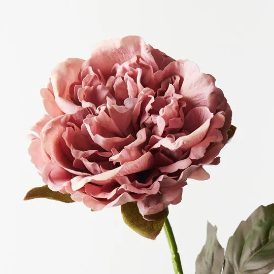 Peony Dusty Pink 61cm Pack of 12