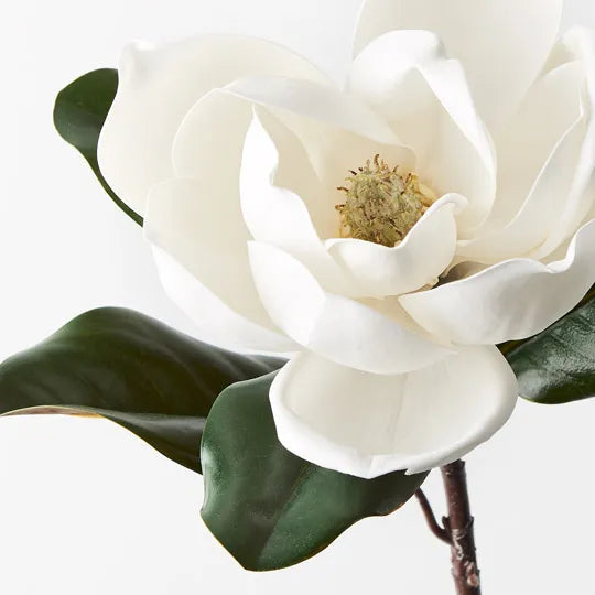 Magnolia White 73cm Pack of 12