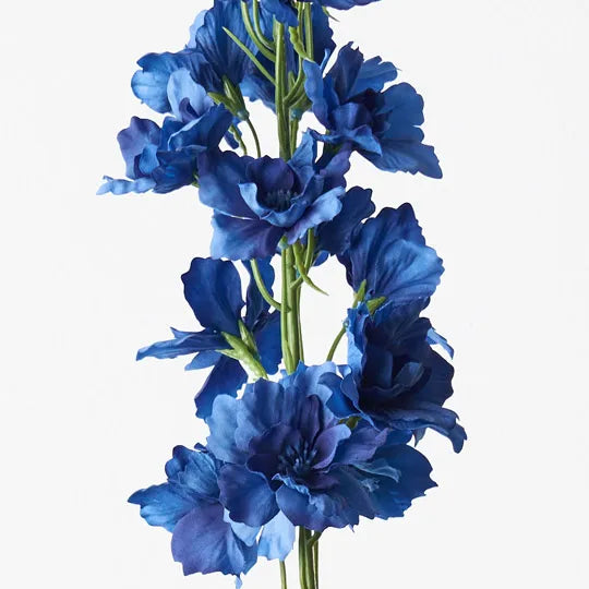 Delphinium Royal Blue 90cm Pack of 12