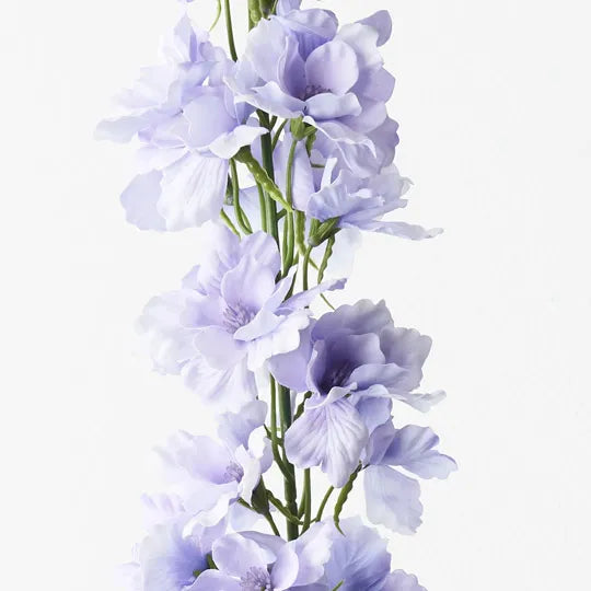 Delphinium Lavender 90cm Pack of 12