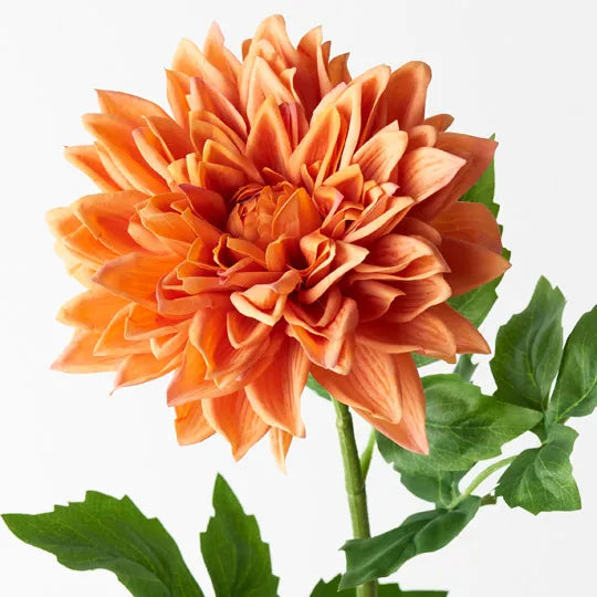 Dhalia Orange 71cm Pack of 12