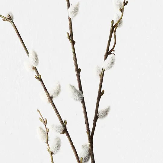 Pussy Willow Spray Brown 116cm Set of 12