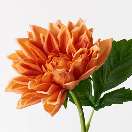 Dahlia Orange 54cm Set of 12