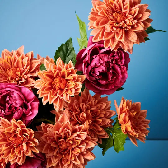 Dahlia Orange 54cm Set of 12